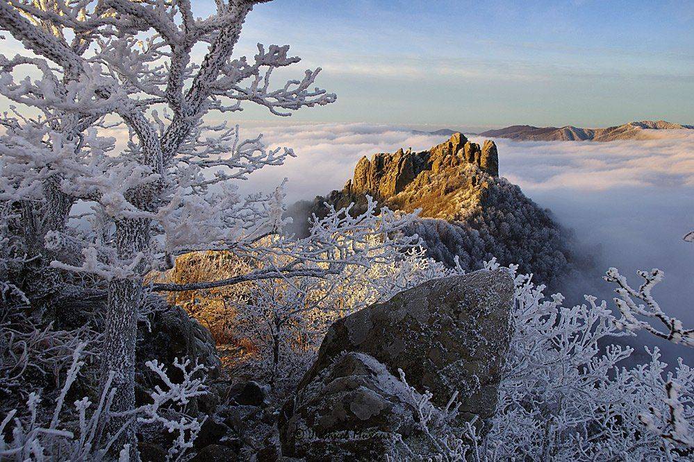 , Ловиков Михаил