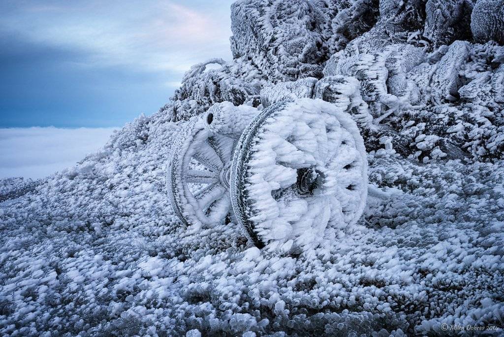 , Милен Добрев