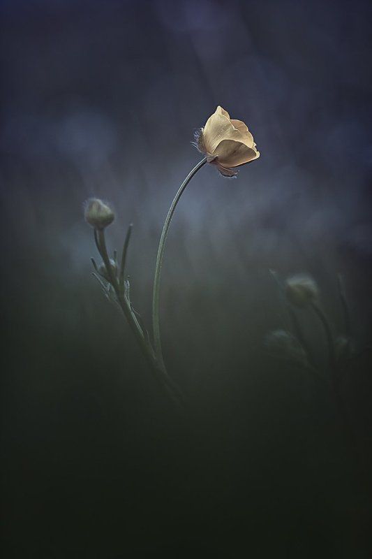 A beautiful spring фото превью