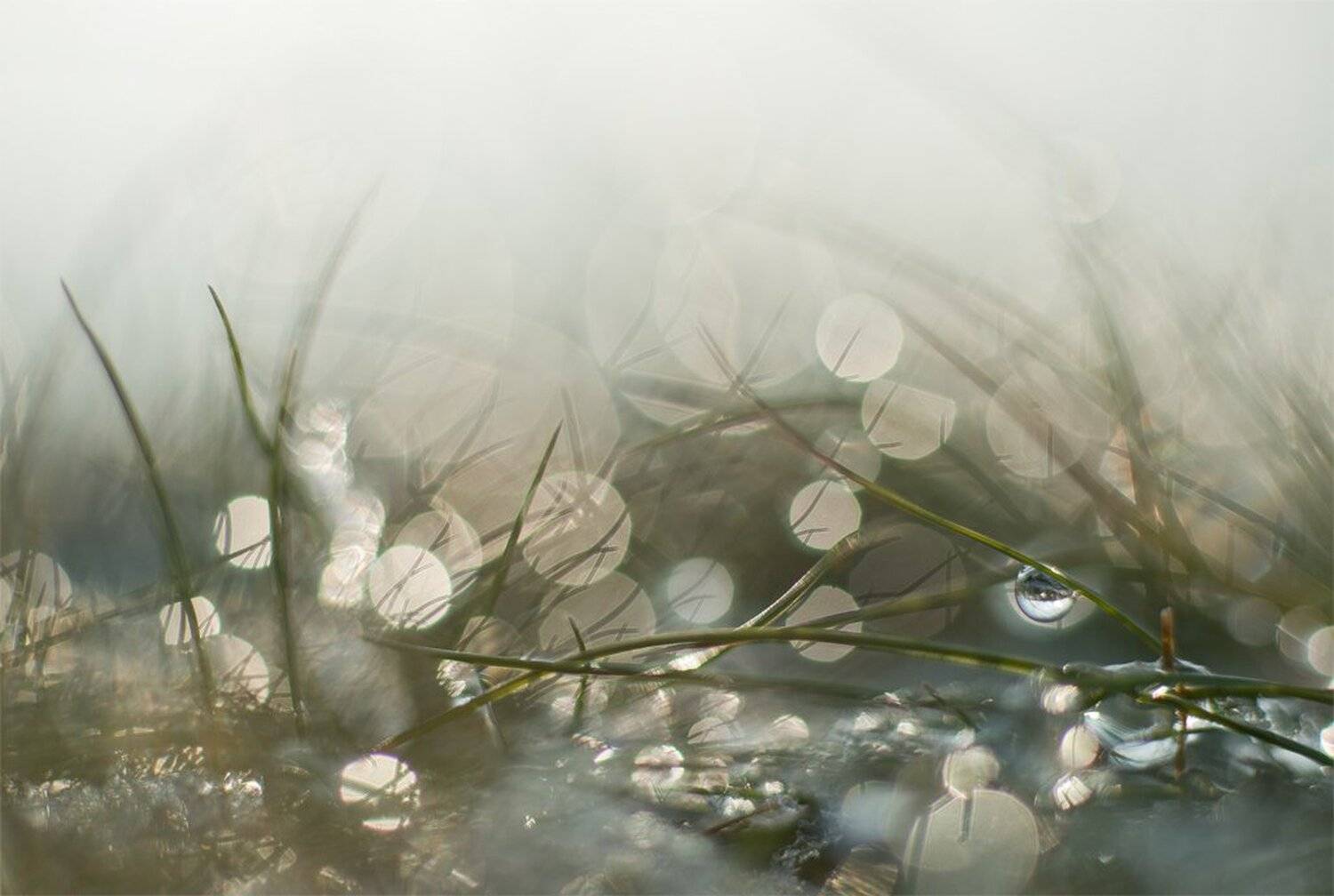 , Геннадий Мещеряков