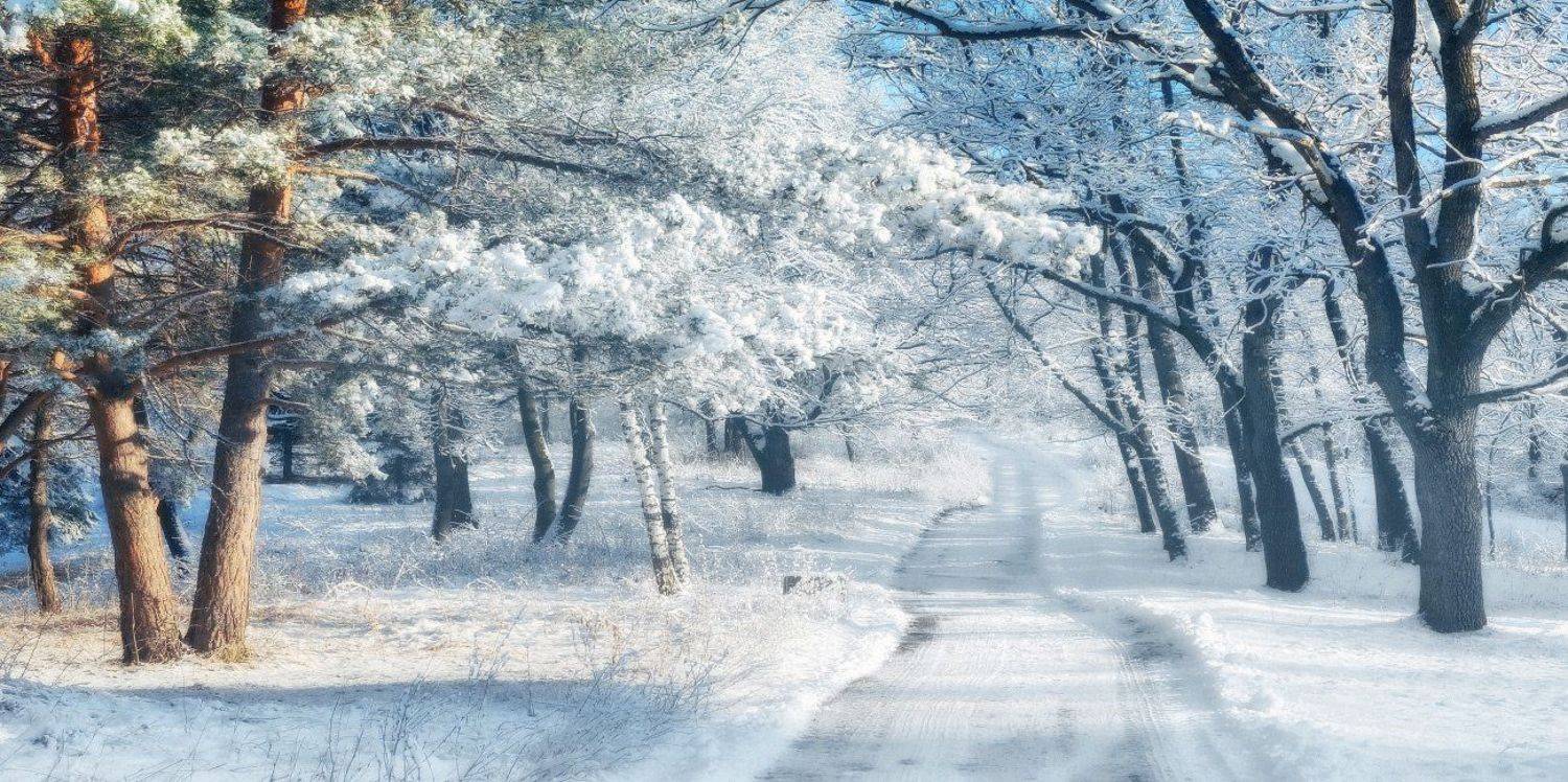 , Михаил  Пилипенко