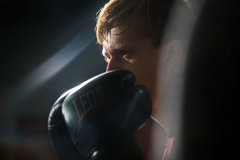 Боксер фото превью