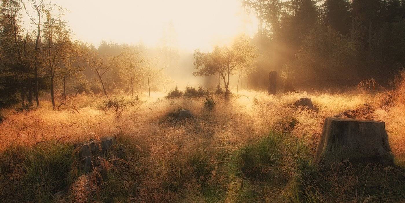 Germany, Light, Sunrise, Лето, Рассвет, Утро, Kljuchenkow Aleksandr