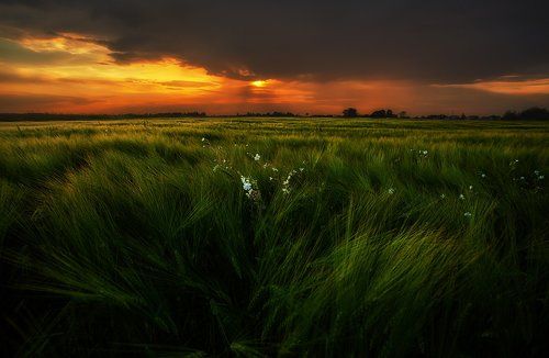 Before the storm