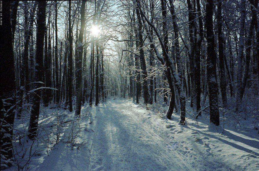 Film, Mju-2, Nature, Olympus, Winter, Keenosh