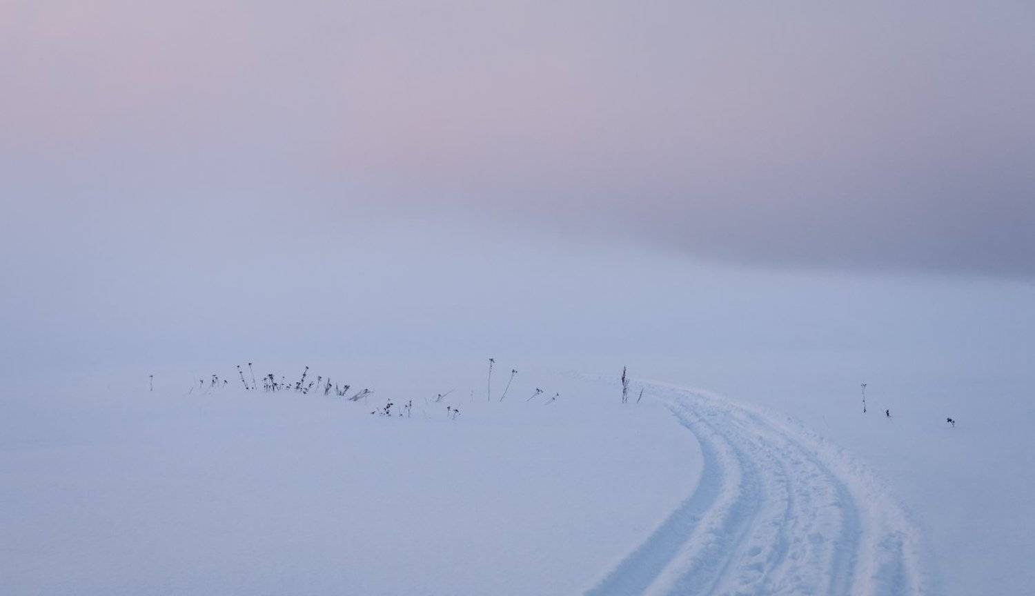 , Пеккер Сергей