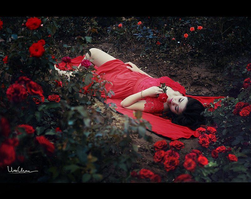 Thỏ con 3 фото превью