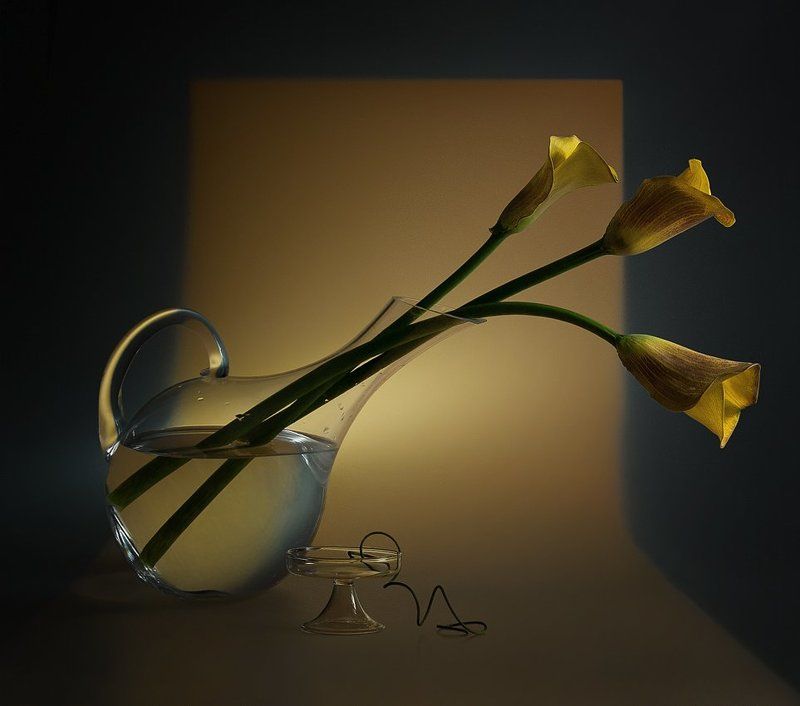 Желтые калы фото превью