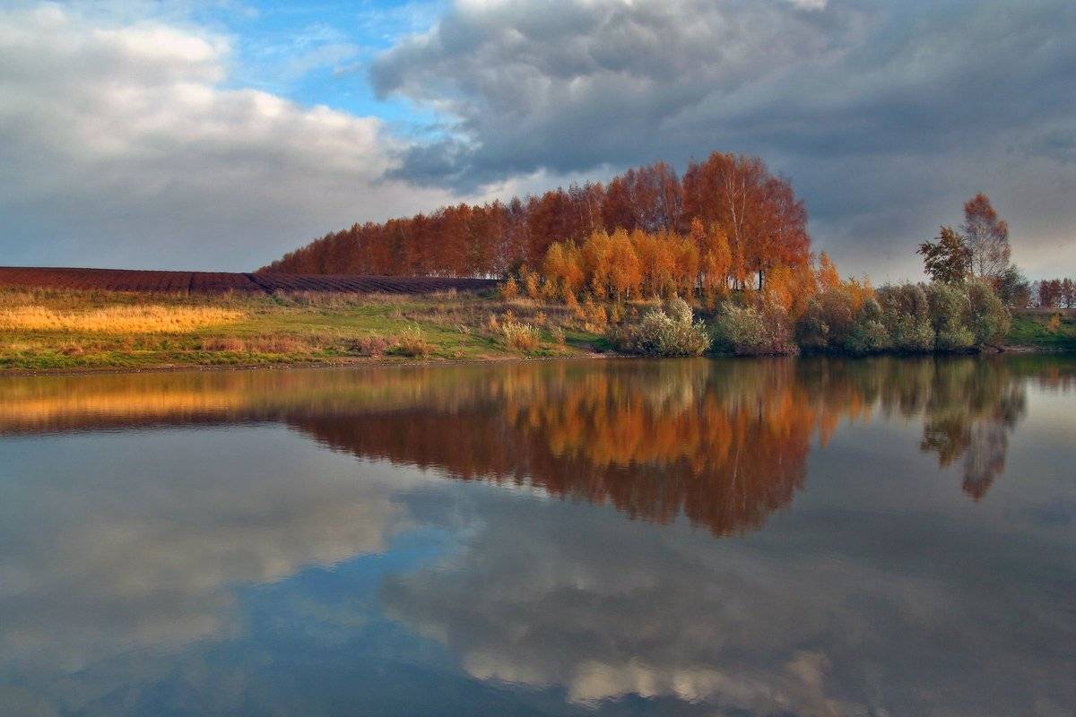 , Сергей Никсон