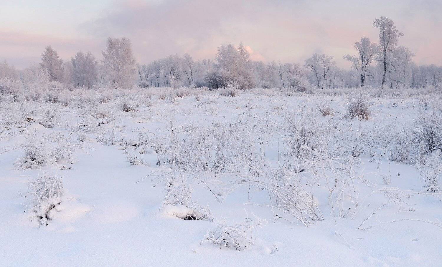 , Лещёнок Александр