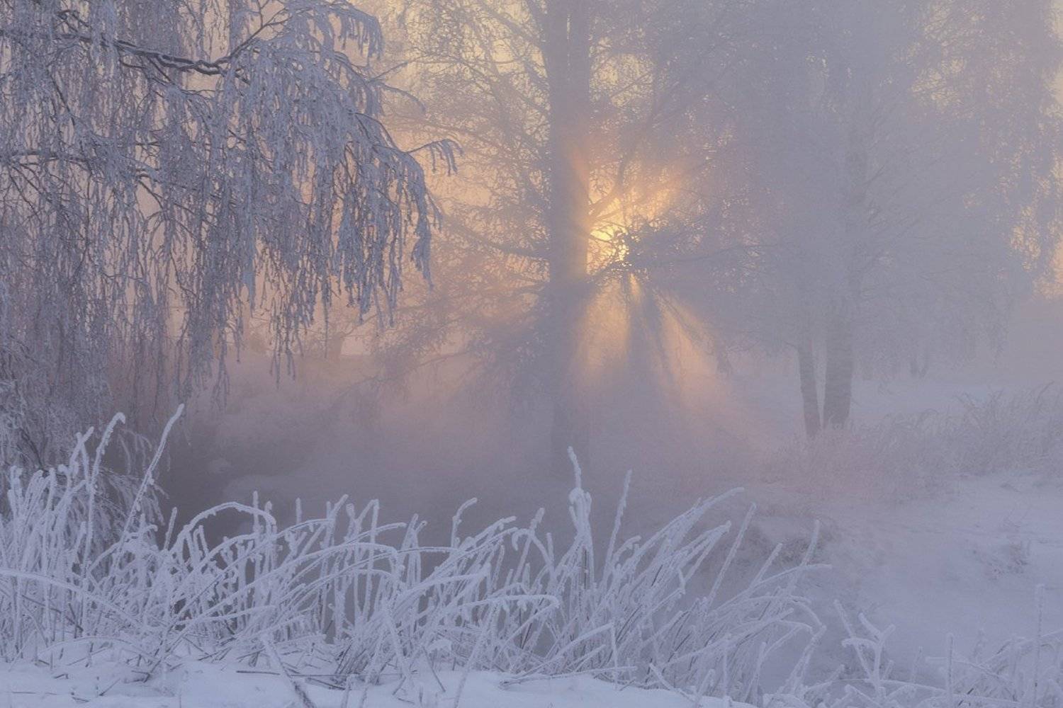 зима, пушкин, санкт-петербург, свет, царское село, пушкин, царское, питер, снег, свет, царскоесело, landscape, nature, Таня SHE (Aiya)