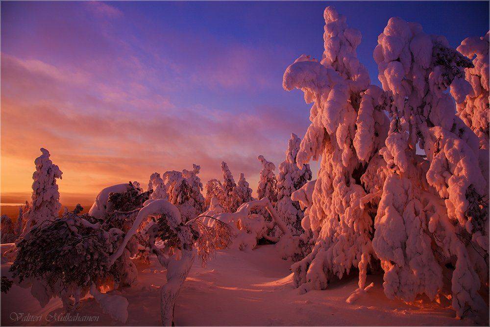 , Valtteri Mulkahainen