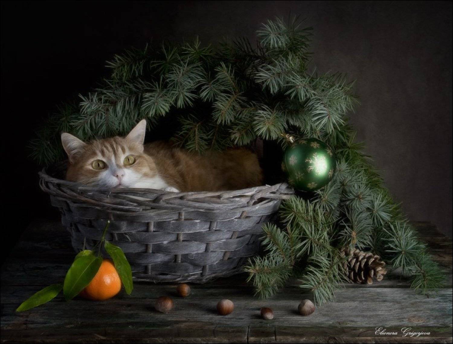 , Eleonora Grigorjeva