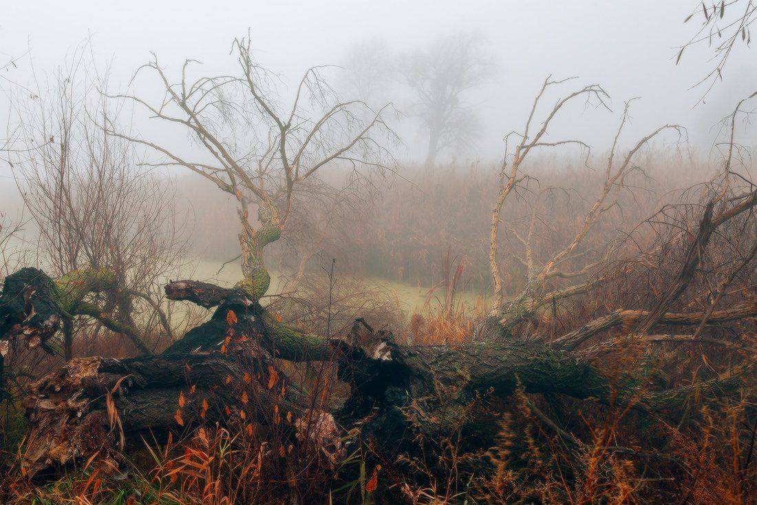 , Ярослав Тюрменко (Jaremi)