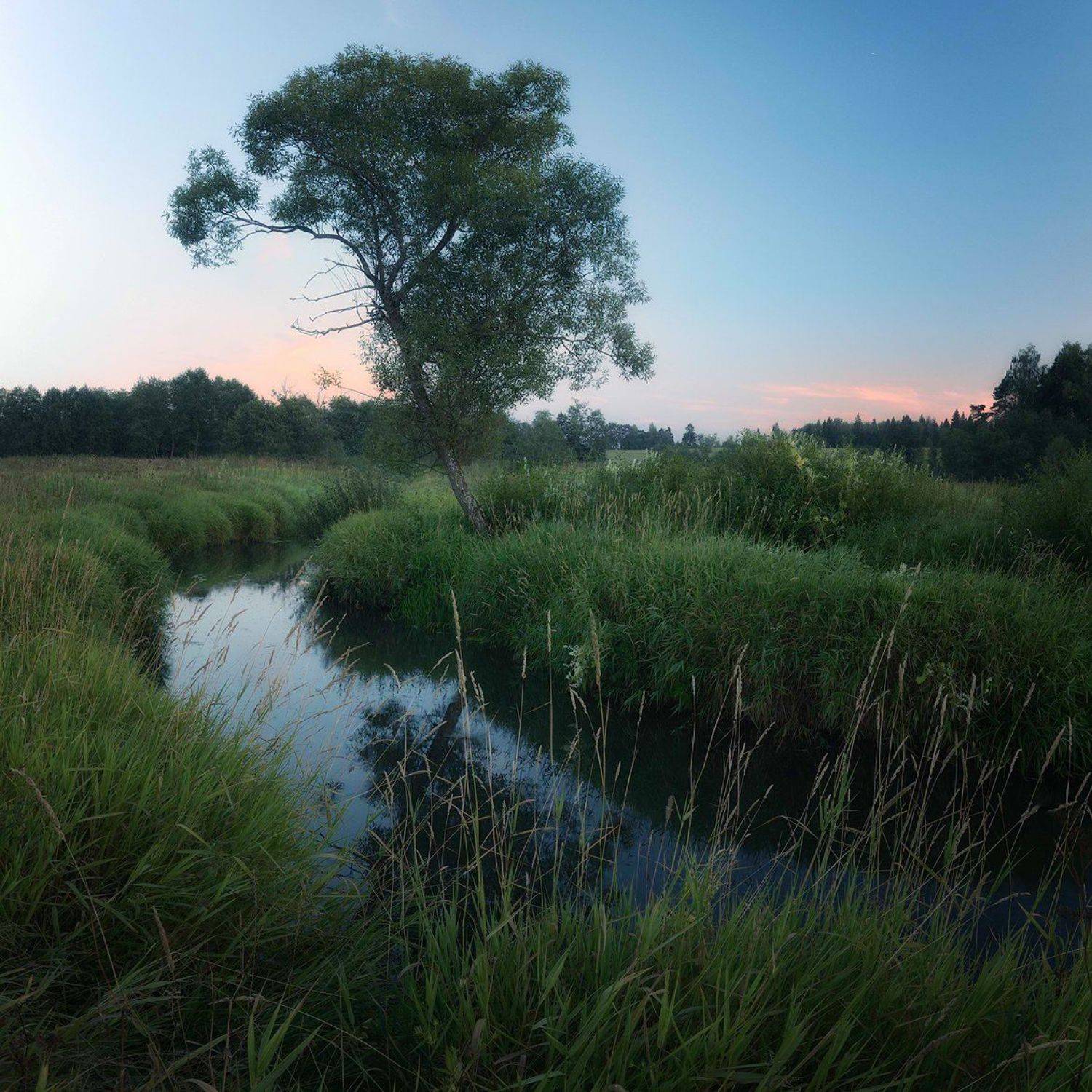 Пейзаж, Природа, Алексей Никонов