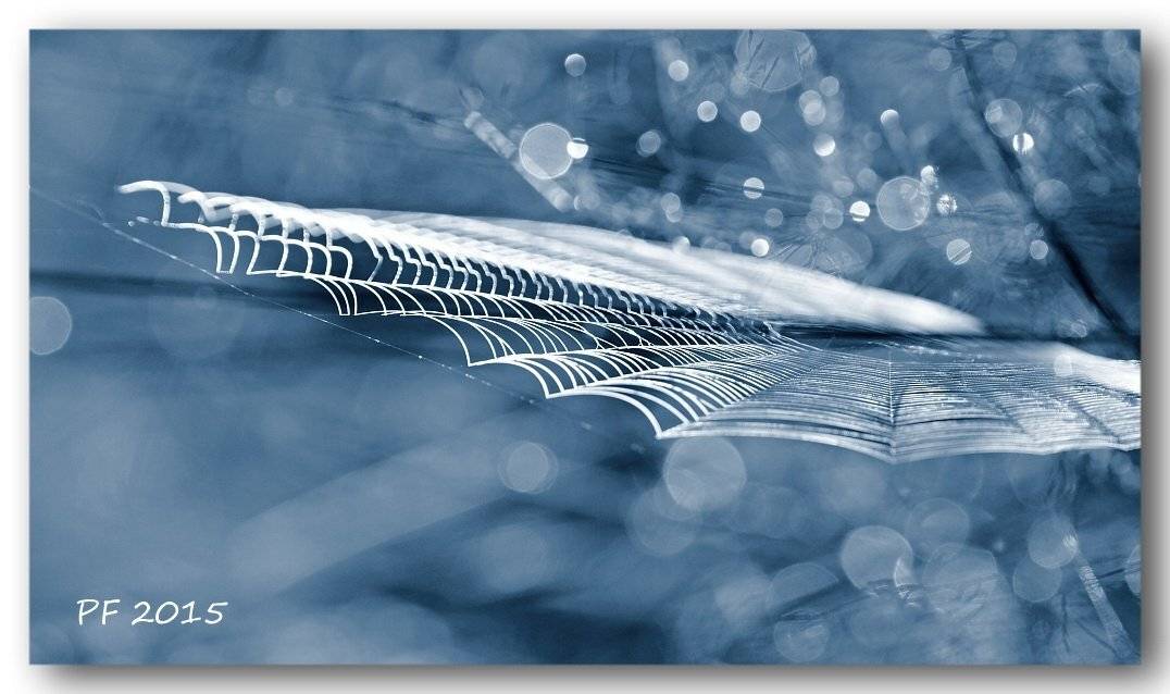 , Franti&scaron;ek Uhler