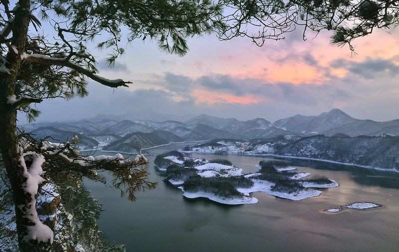 Crucian Carp Island фото превью