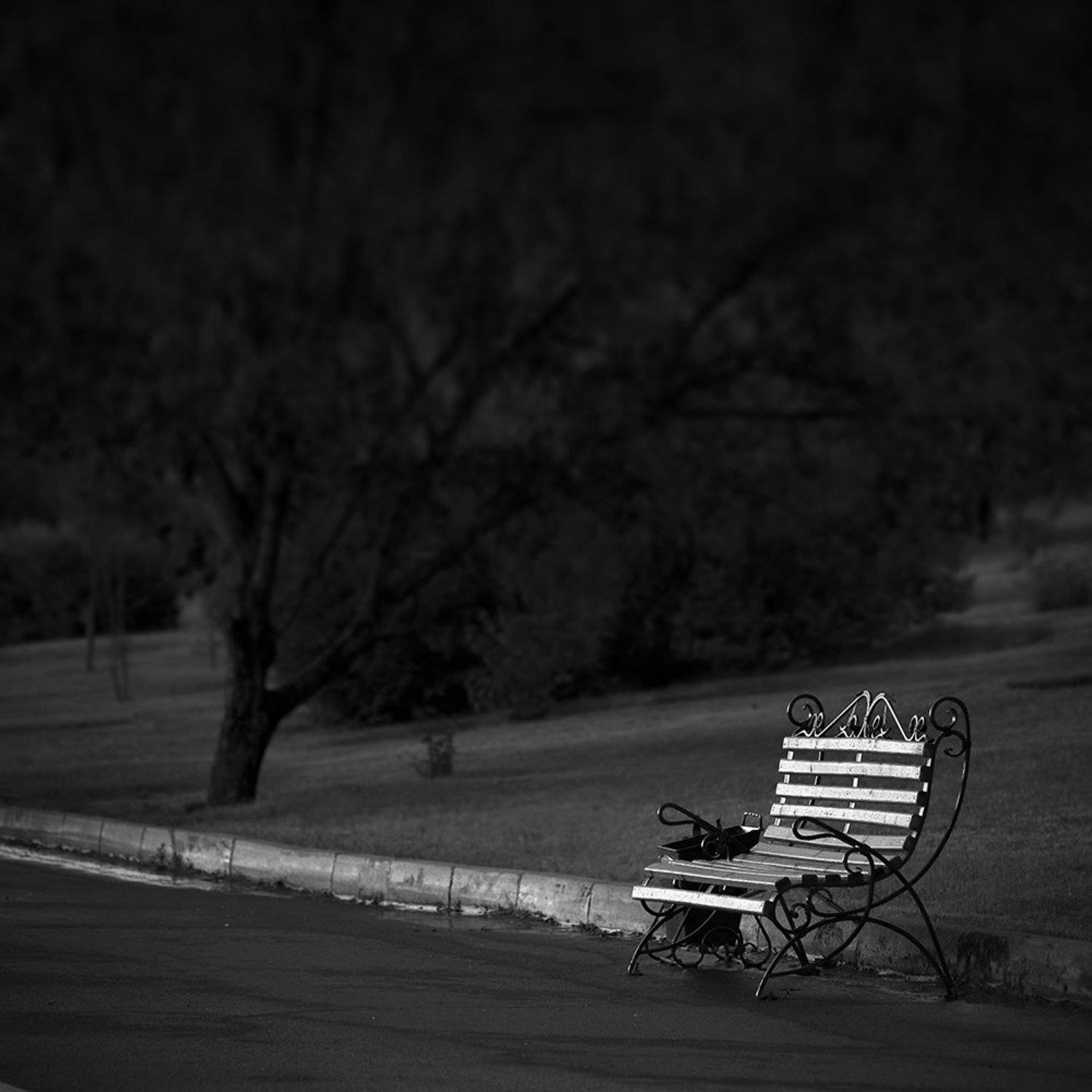 город, квадрат, красноярск, парк, природа, скамейка, сквер, улица, чб, черно-белое, Дмитрий Антипов