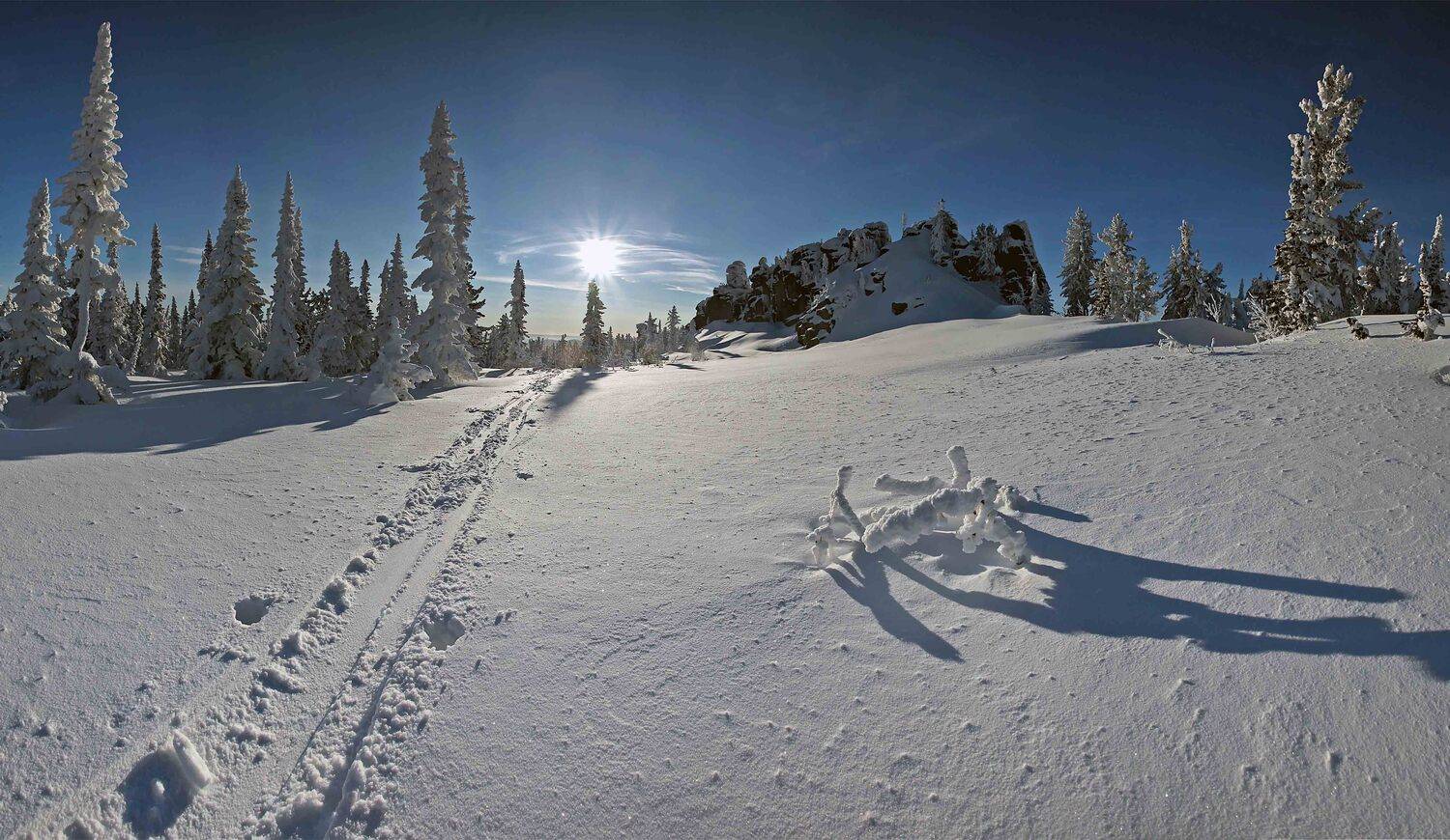 , Лихарев Александр