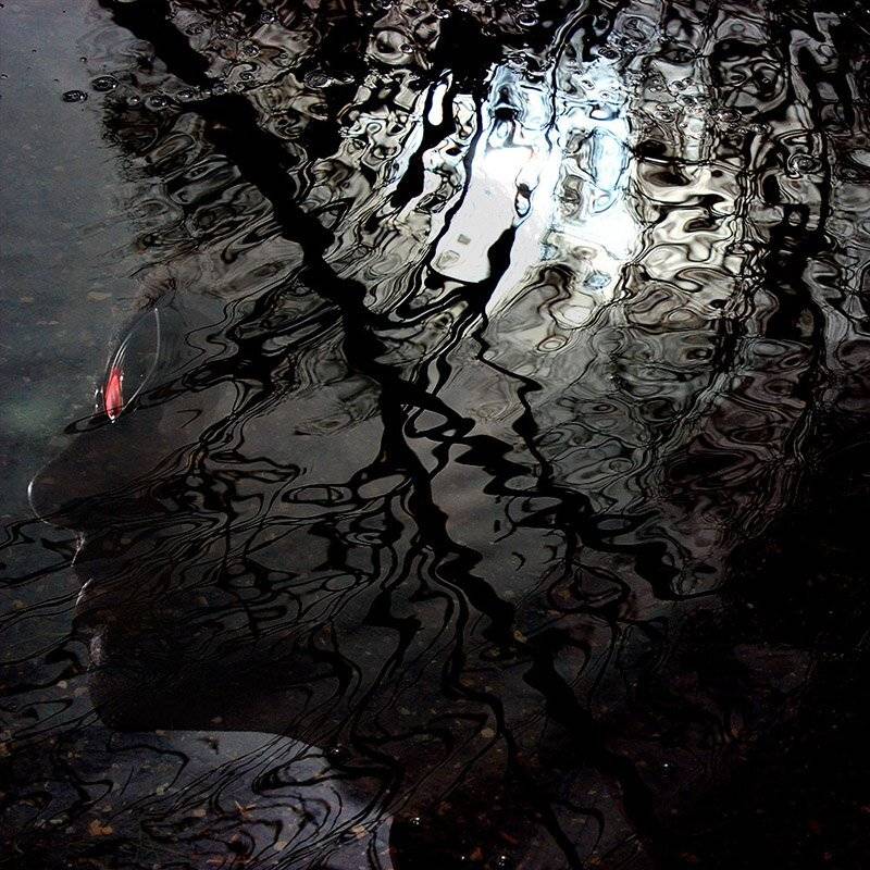 Chaotic, Light, Milad safabakhsh, Mind, Portrait, Reflection, milad safabakhsh