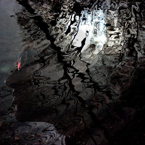 The chaotic mind