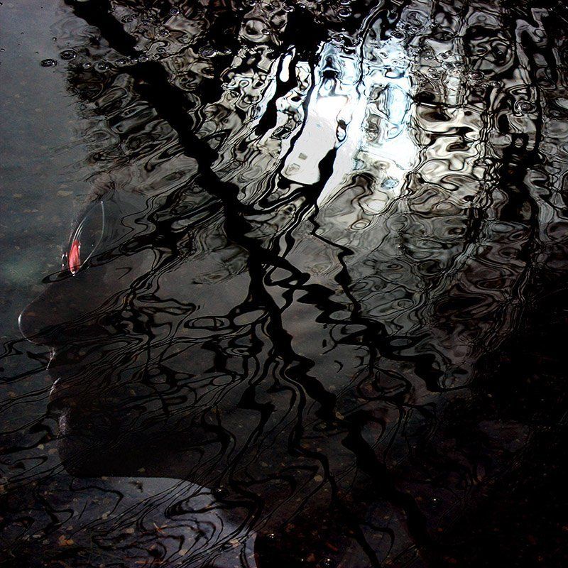 Chaotic, Light, Milad safabakhsh, Mind, Portrait, Reflection The chaotic mind фото превью