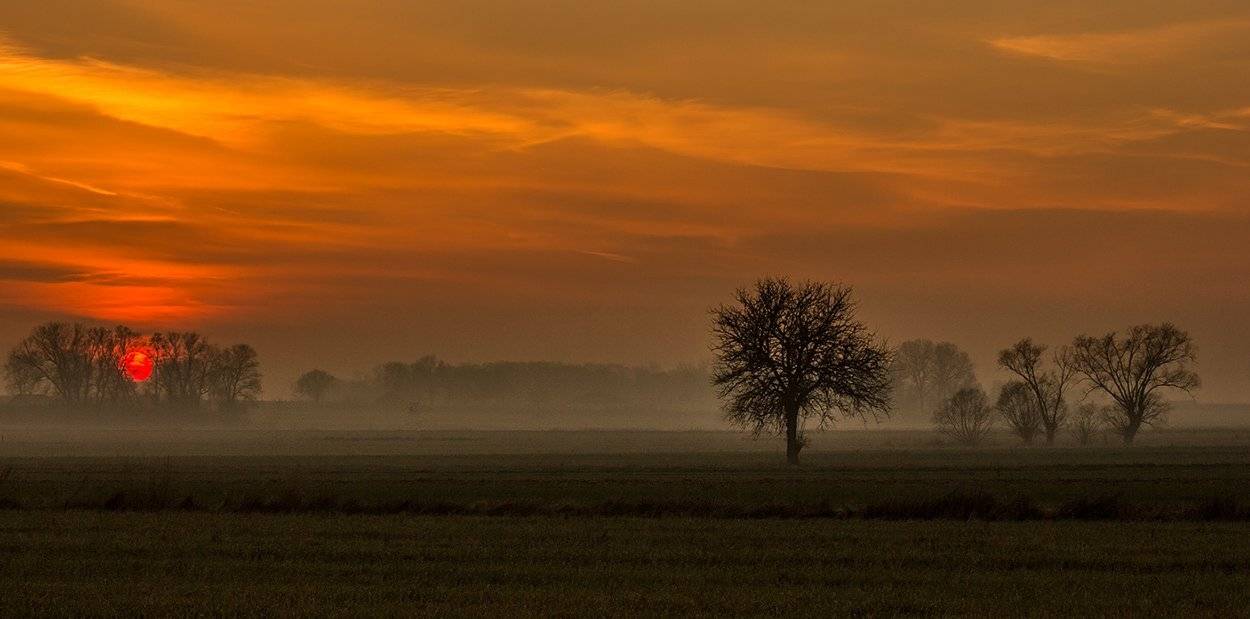 , Pawel Plucinski
