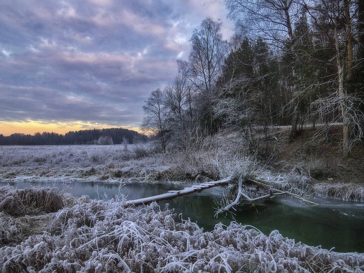 , Марина Брыдня