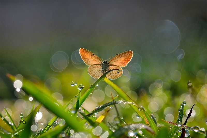 Sunbathe фото превью