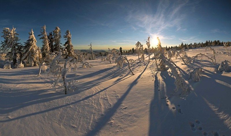 Одинокий след... фото превью
