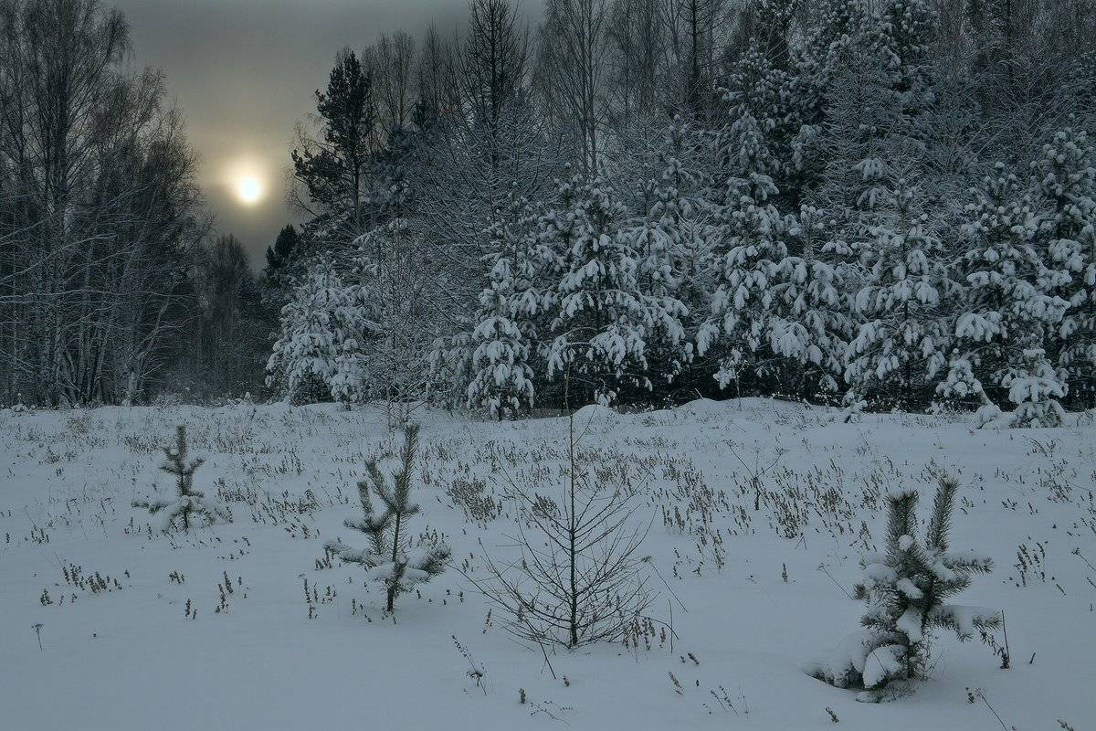 , Николай Морский