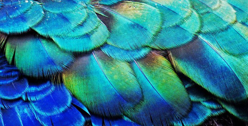 The Art of Creating фото превью