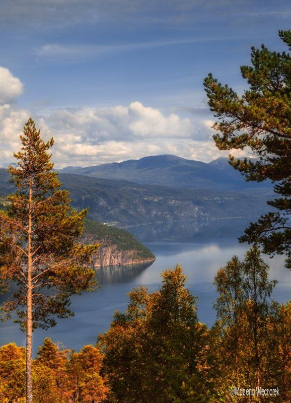 Postcard from Norway фото превью