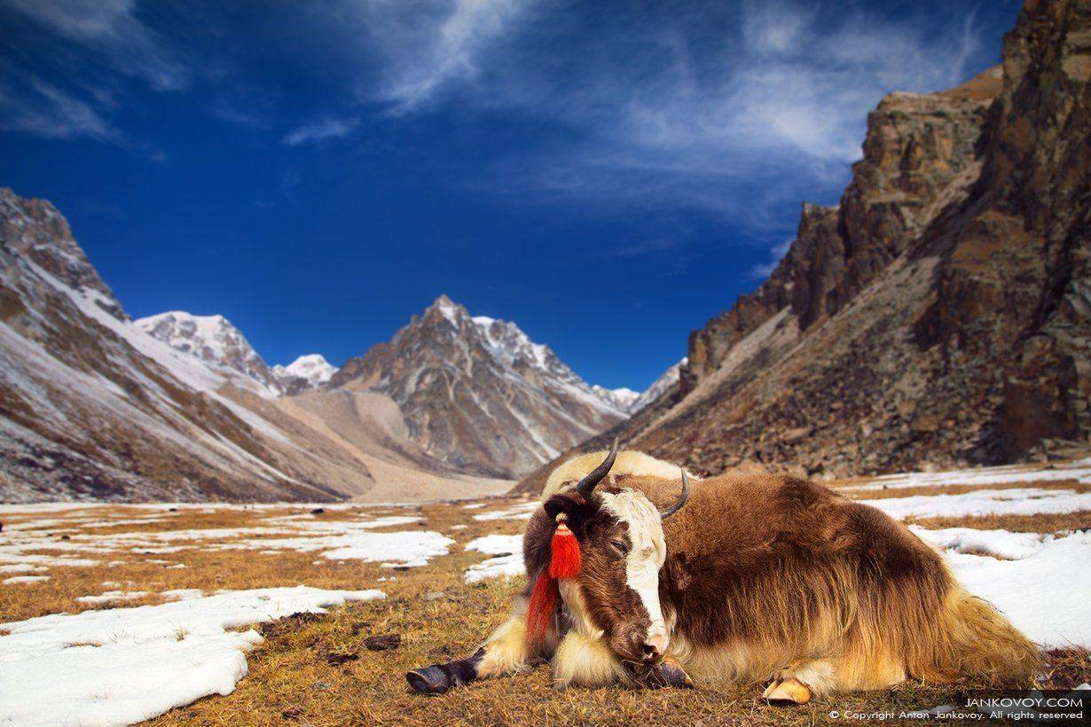 , Антон Янковой (www.photo-travel.com.ua)