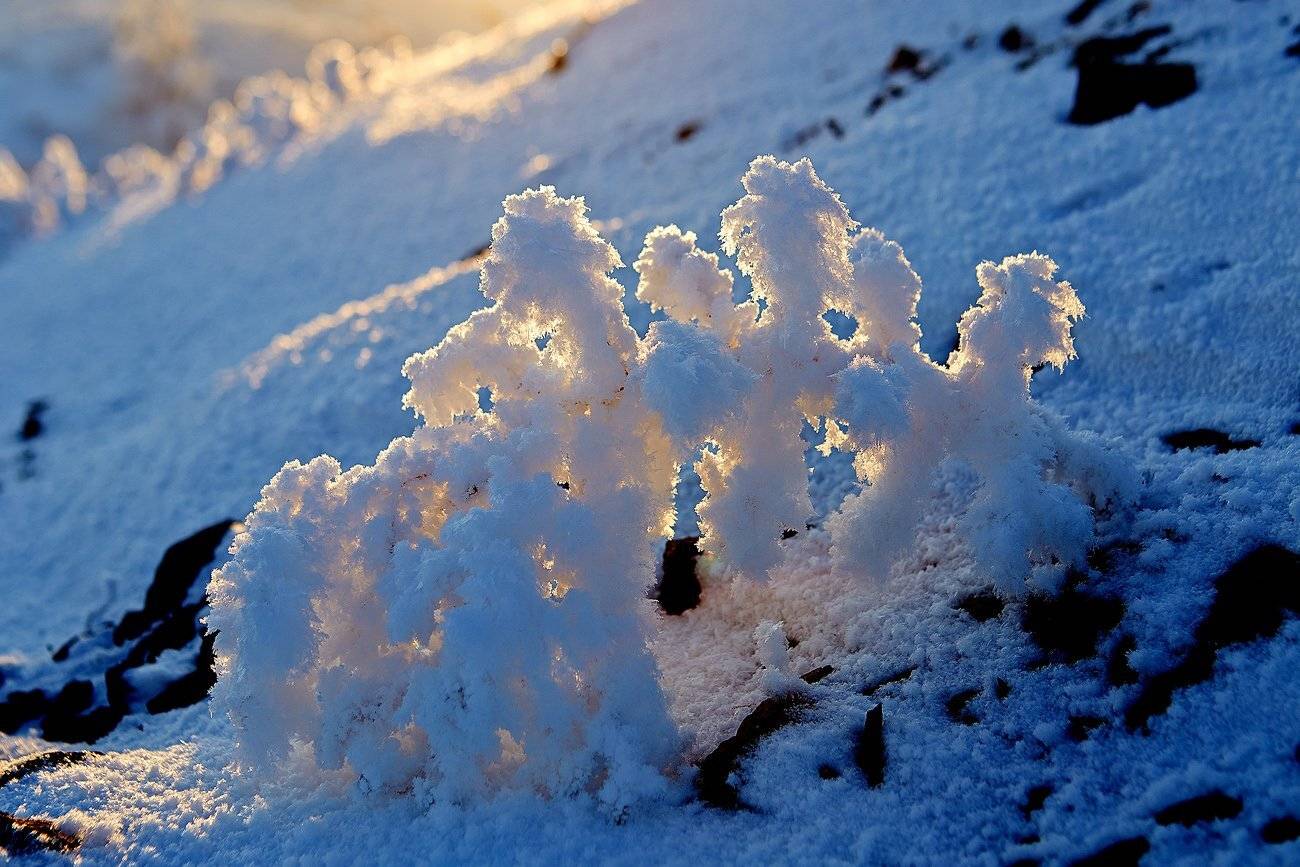 , Качурин Алексей