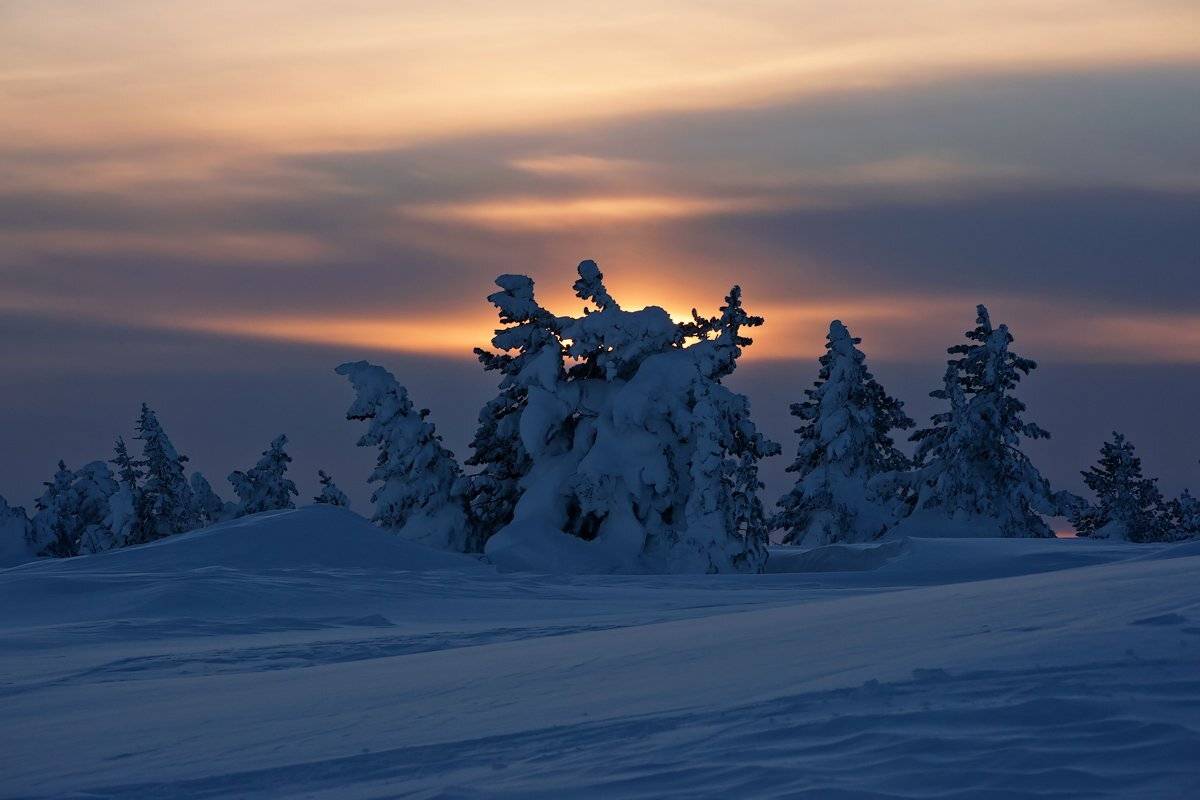 , Валерий Пешков