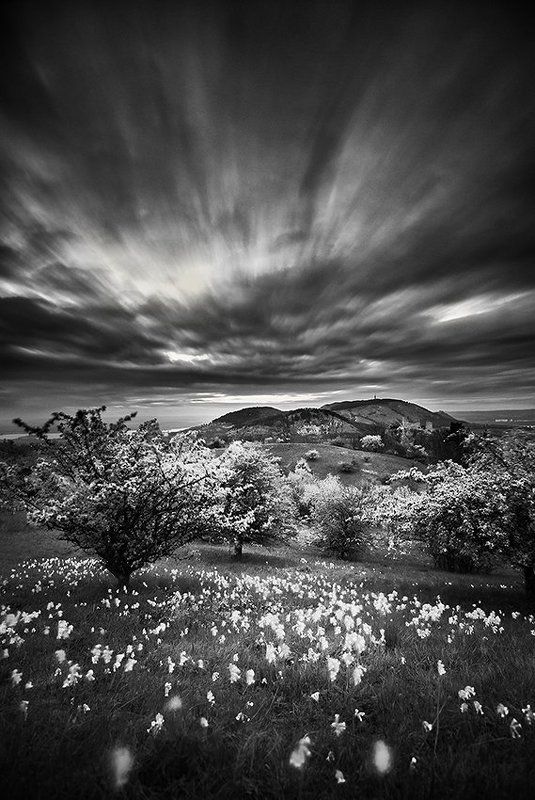spring on Pálava фото превью