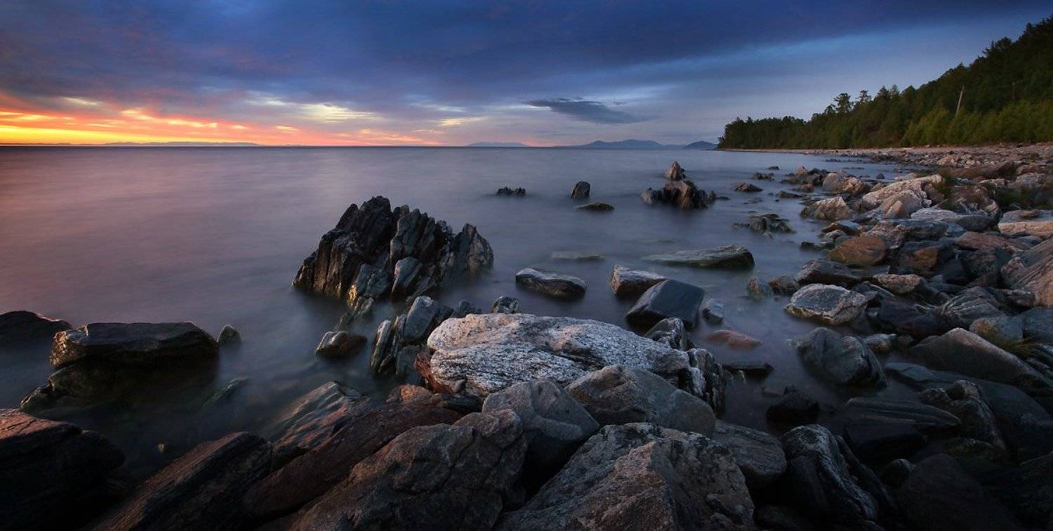 , Алексей Бушов