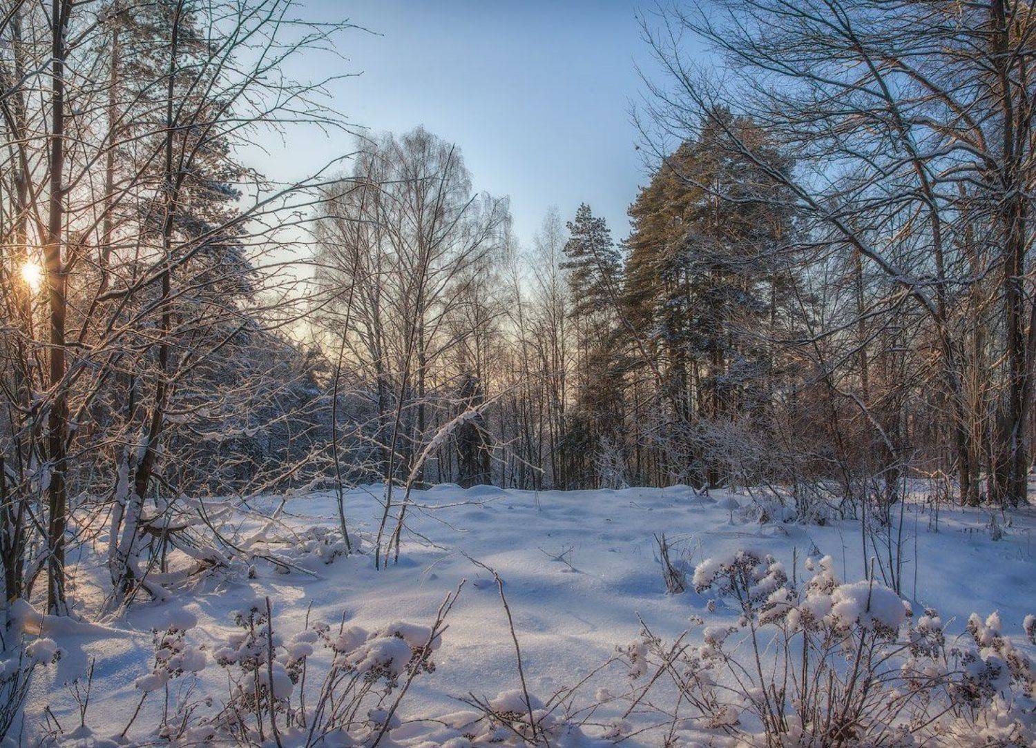 , Андрей Леонидович