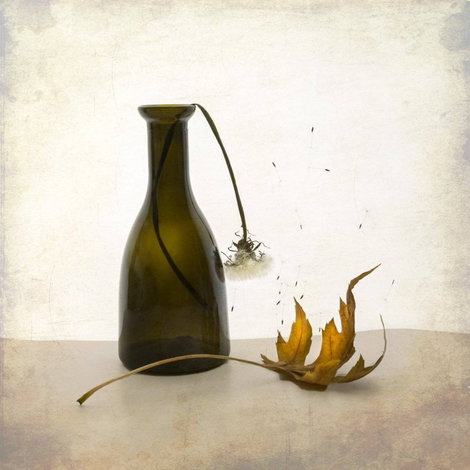 , Людмила Прокофьева