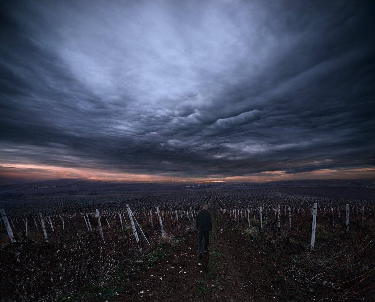 , Дeнис Бoдрoв