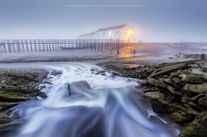 Low tide фото превью