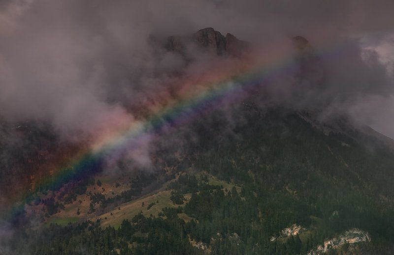 Радужные Тхачи фото превью