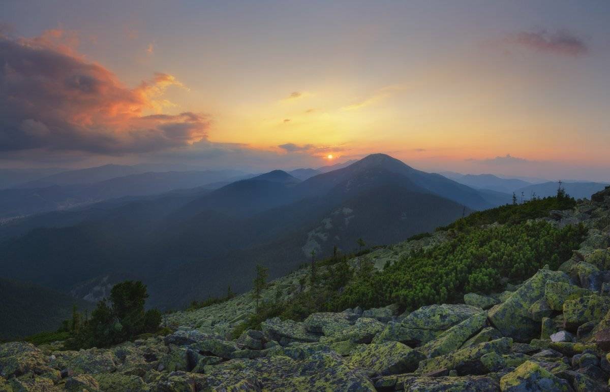 , Жмак Евгений