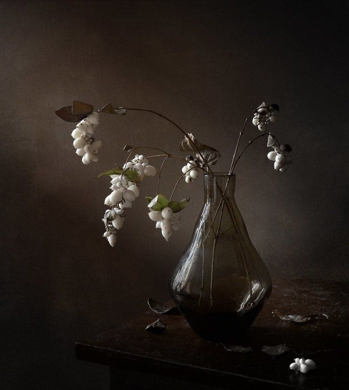 снежноягодник белый фото превью