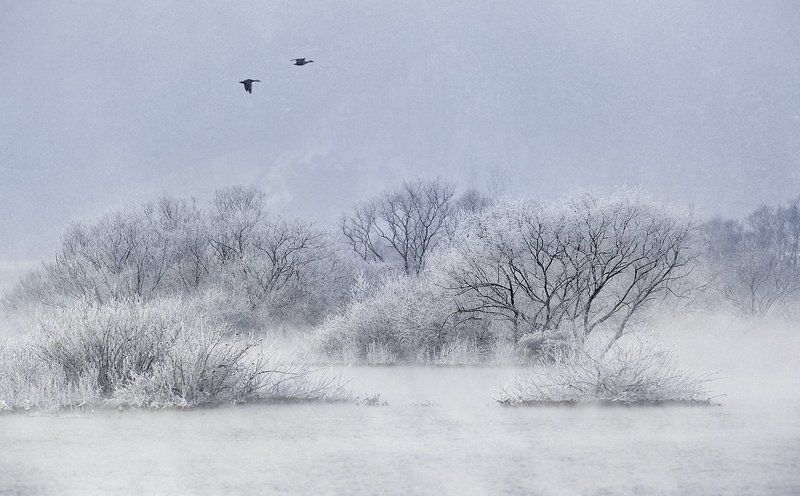 Peaceful lake - Hard rime фото превью
