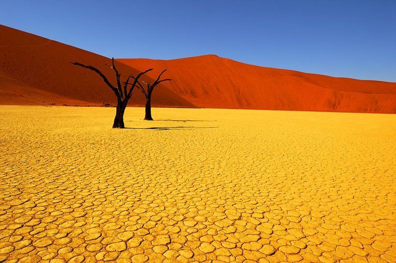 Beautiful Africa фото превью