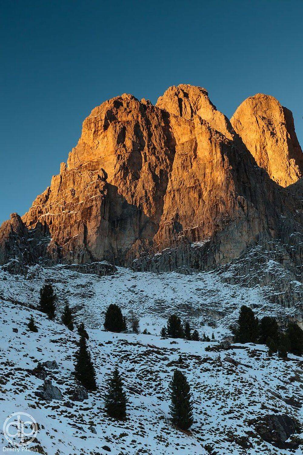 , Питенин Дмитрий