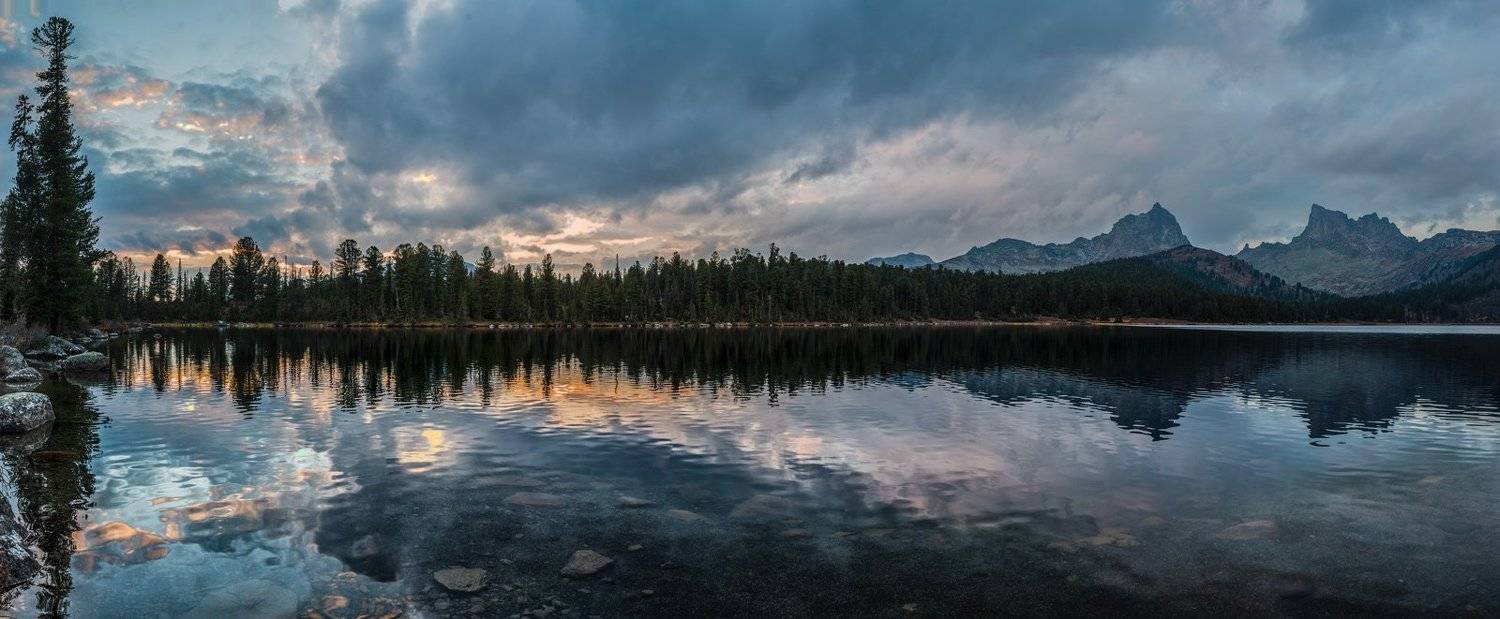 , Дмитрий Дубиковский