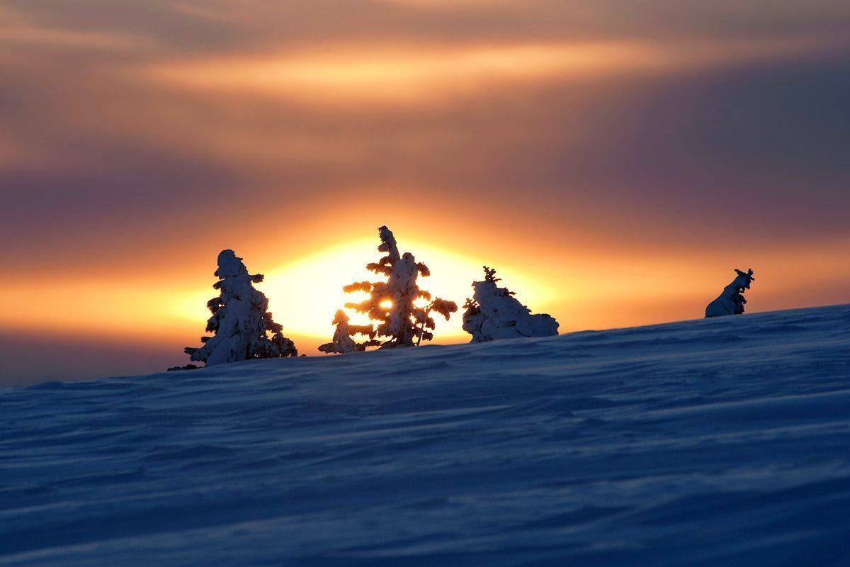 , Валерий Пешков